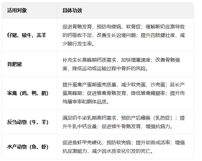 微信图片_20251218112112_81_47.png 微信图片_20251218112112_81_47.png